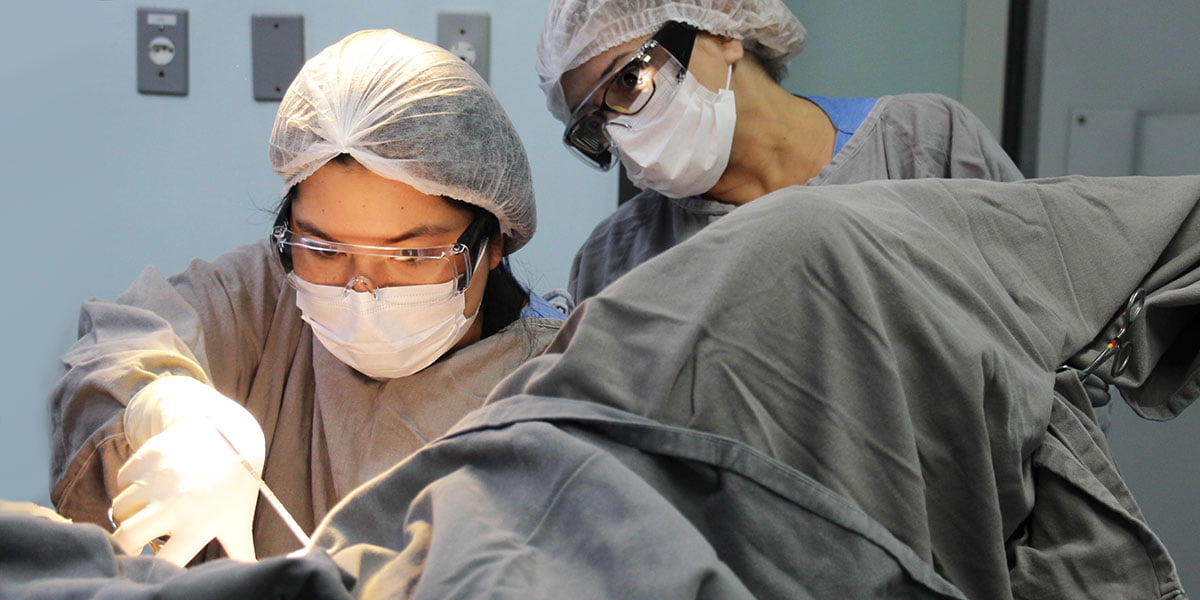 Características do Serviço Ginecologia e Obstetrícia HGIS